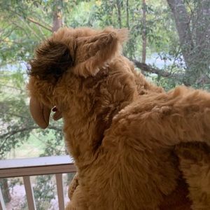 FOLK MANIS GRIFFIN PUPPET